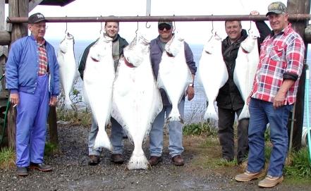 Alaska halibut catch
